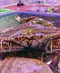 �������飡�㽭��������з�ھ��ַ�ɫ�����ӡ������Ƕ���ʳ�ġ�