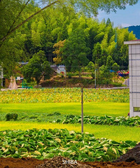 ��������ɽ��ľ������һ������������ɾ�