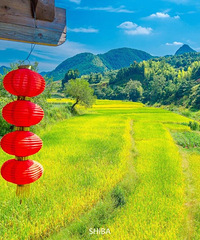 ��������ɽ��ľ������һ������������ɾ�