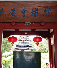 Ѱ������������������������