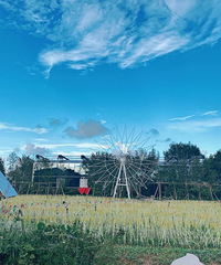 92������GG����170��������������ϲ��С�ɿɰ���Ů��