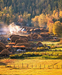 �Ͻ���һ�ֲ�����ȥ�β��ã�������һ��񫣬ȥ���䲻��