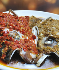 ����˫ɫ�罷��ͷ�ص���������ϸ���ϼ���ѧ