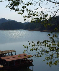 ʮһС�����㽭�Լ���ȥ�ĺ��棬13���Լ�·��