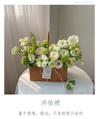 ����ϵ�л����������������Ҹ��ĺ���