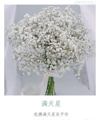 ����ϵ�л����������������Ҹ��ĺ���