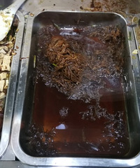 ���ص�ʳ��Ͳ���о�������������������ˬˬ