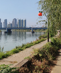 ������̨���ٹ⡿��������-20191125-������-�̵�