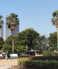 ������̨���ٹ⡿������ͷ-20191216-������-������԰