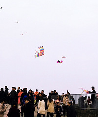 ������̨���ٹ⡿���붫����