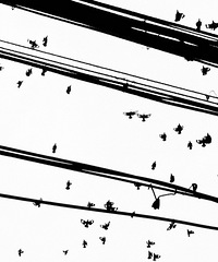 ������̨���ٹ⡿·��̩¡��