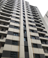 ���¥����ǽ�ϵ�ú���ܵ����ƻ�����������