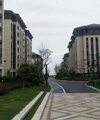 ͷ�Ÿۼ�����԰��Ͷ�ʼ�ֵ�𣿰�ǧ���ַ�����վ�Ѿ����̹���