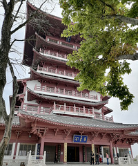 ������̨���ٹ⡿�������Ƹ�