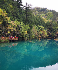 ��կ�廨������կ��ˮ����֮��