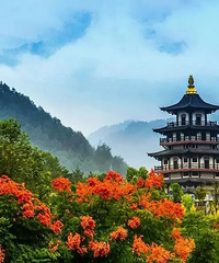 48������ͼ�����ҵ��˽��ϳ�����õķ羰��