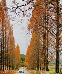 48������ͼ�����ҵ��˽��ϳ�����õķ羰��