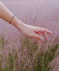 ���조�������Ӳݡ���Ȼ���ߣ������һ������