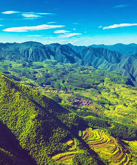 ��ʱ5�����ڿ�ͨ��Ӫ�����ؾ�����ӭ����ֵ�۷�