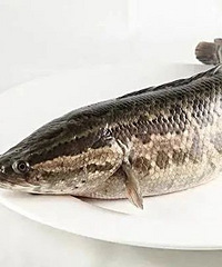 ��Щ���Է��ĳԣ���ЩҪע�⣿��ǰʳƷ��ȫ���������