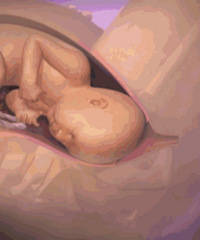 ԭ�����������������ģ�����һ�����������̣���һ�������Ѱ�