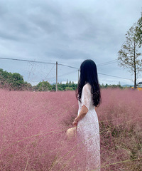 �������Ӳݣ����������ջ��Ǻ�����