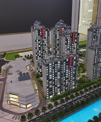 ������Լ���ǿ����������û���������Լ�������