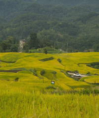 ��̨��ɽ�̽������ɫ�������õ�