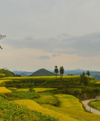 ��̨��ɽ�̽������ɫ�������õ�