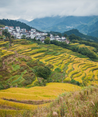 ��ʯ������ˣ����ϵ����䷲��Ļ��壬̫���ˣ�