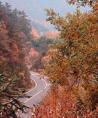 ���������������������������·�ؾ�����