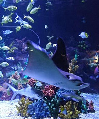 2020̨���������ڻ����