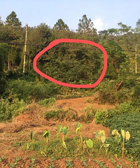 �㽭��̨����һ����Ĺ��Ĺ�����ݲ�һ�㣡