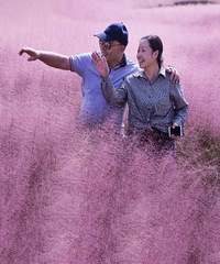 ���ŵķ������Ӳݿ��ˣ���Ƭ�ۺ죬һ�����ܴ���