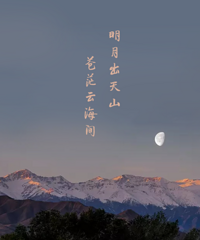 ���������������ݡ��ˣ��������۹�����ʵ����