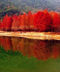 �㽭�ܱ�28��С�ھ����������������ڣ�