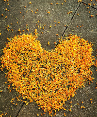 ��������ã����㻷�����