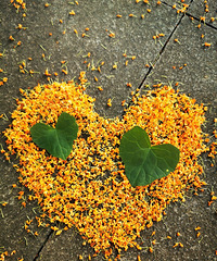 ��������ã����㻷�����