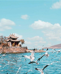 �ٴ棡ȫ��500+������ѣ�1000+��������