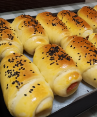 ʮһ���ٳ��Σ���һЩ����������㳦���������