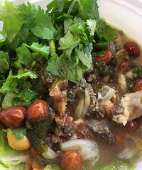 ��ʳ�Ƽ�Ҭ˿���ܺóԣ��ܳԳ�һ˿һ˿�ĸо�