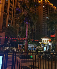 ���������������ġ�С���ſ��ŵƽ�ʵģ�ӭ�ӹ�����