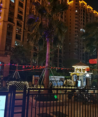 ���������������ġ�С���ſ��ŵƽ�ʵģ�ӭ�ӹ�����