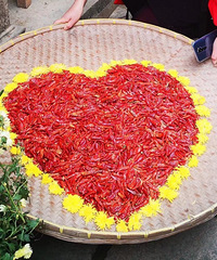 ����Ʈ��ӭ���죬ף��������ٲ�ʢ��̩��