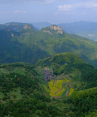 ����ʮһ�򿨹�����������