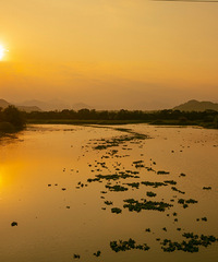 ���ռ��������ʪ����԰���