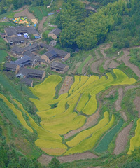 ����ʮһ�򿨹�����������