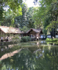 �ɶ�����Ķ������ʺ����գ���Ũ�ҵ�ɫ��