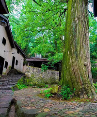 �������㽭������ֵ��һȥ��7������ֵ�ŵ�