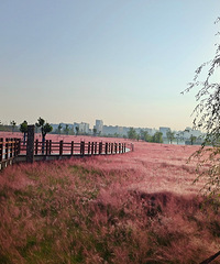 걺����ĳɡ������Ｃ������·�ϵ���������